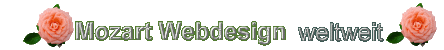Webdesign für Wien - Österreich -und die ganze Welt
