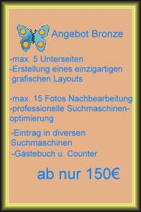 Webdesign Angebot Bronze (max. 5 Unterseiten ab 150 €