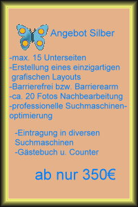 Webdesign Angebot Silber (max. 15 Unterseiten ab 350 €